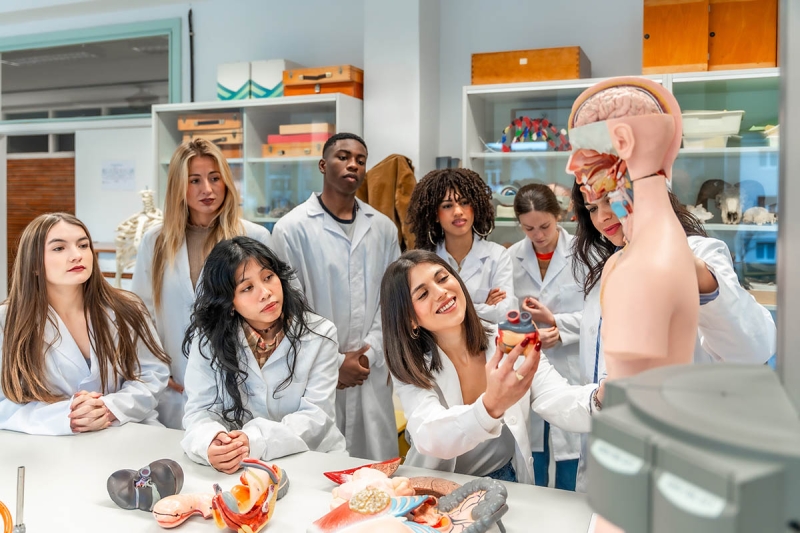School Lab Equipment Bulk Suppliers India - Students with anatomical models in biology laboratory