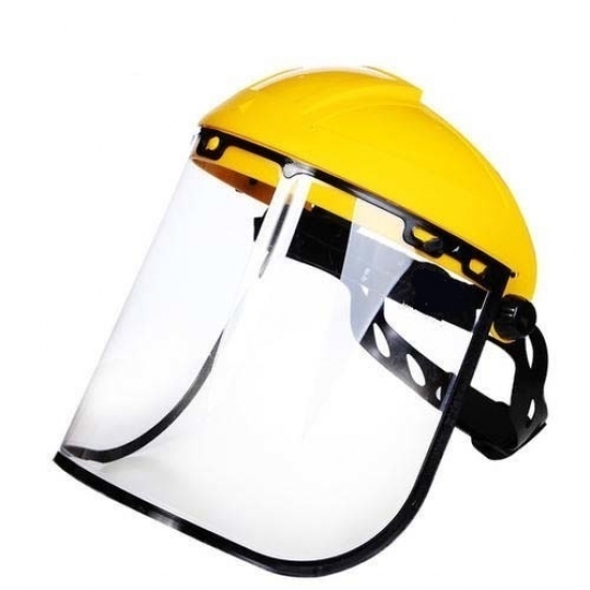 School Lab Faceshield