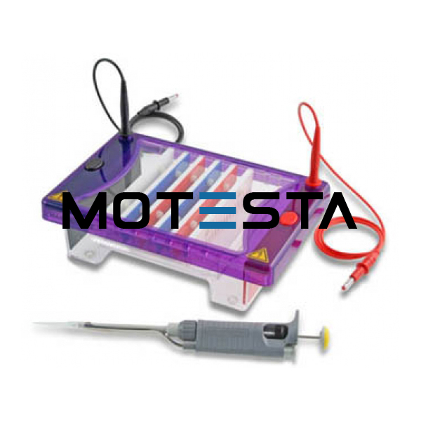 Compact Gel Electrophoresis unit - Manufacturer India