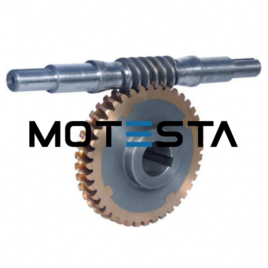 Spur Wheel / Worm Gear Mechanism
