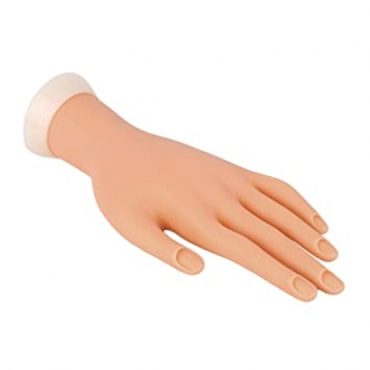 Training Model Manicure