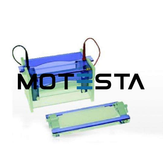 Electrophoresis  Apparatus Horizontal Gel