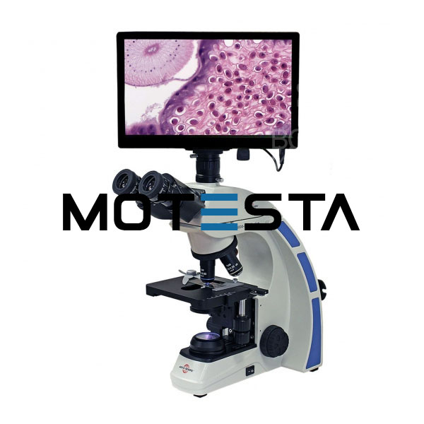 Microscope