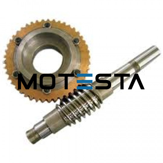 Engineering design Cutaway Model: Worm Gear