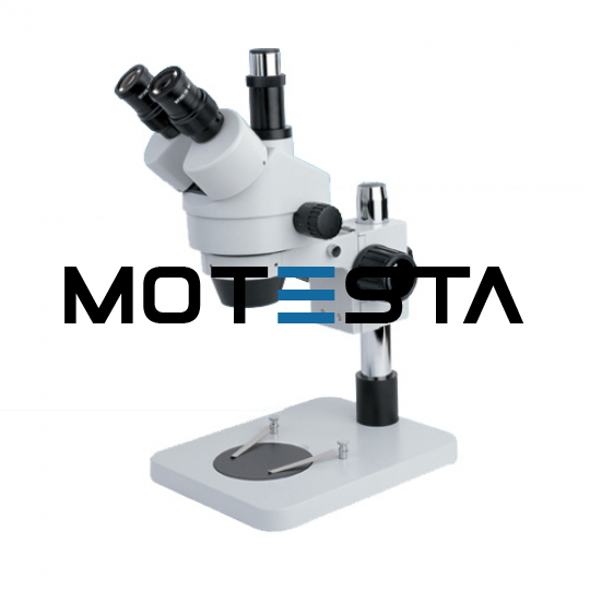 Zoom Stereoscopic Microscope