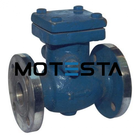 Cutaway Model Non-Return Butterfly Valve