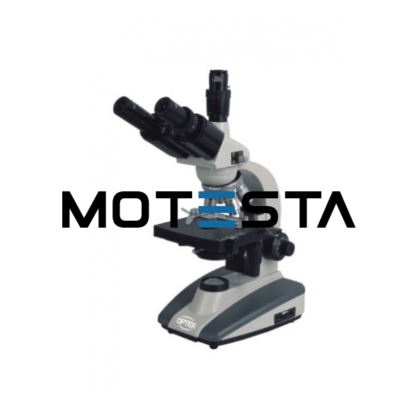 Trinocular head  microscope