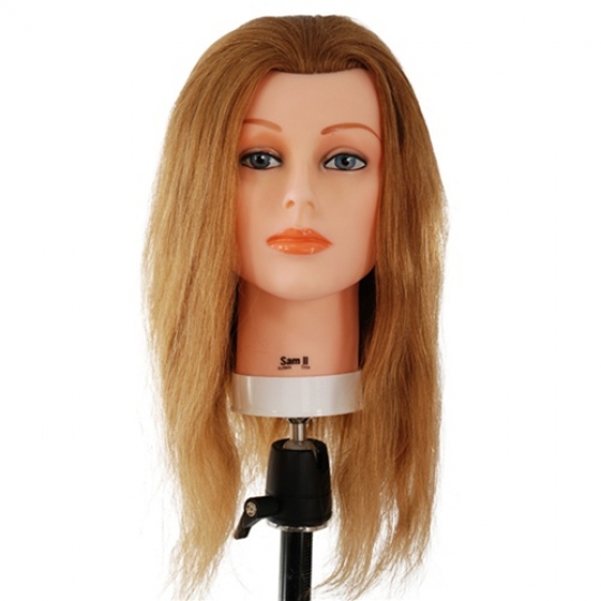 Training Model Hair Dressing