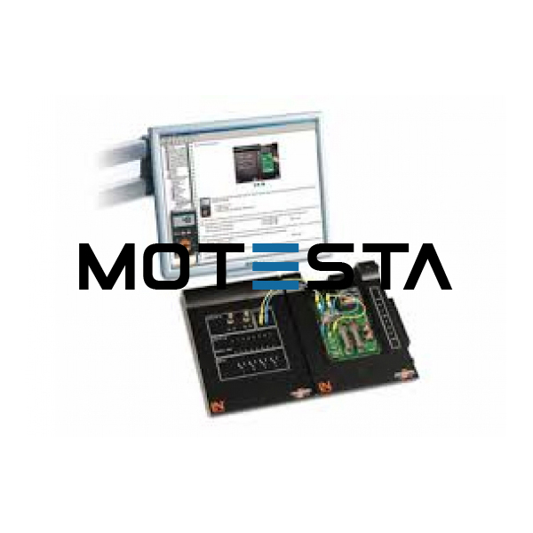 Magnetism/Electromagnetism course