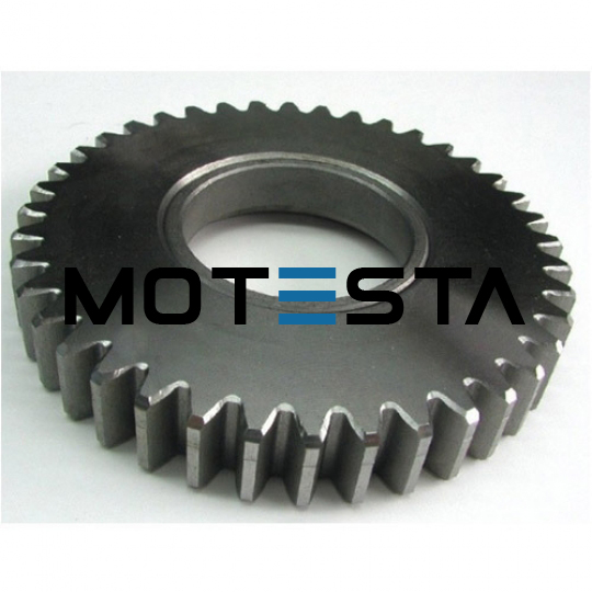 Spur Gear