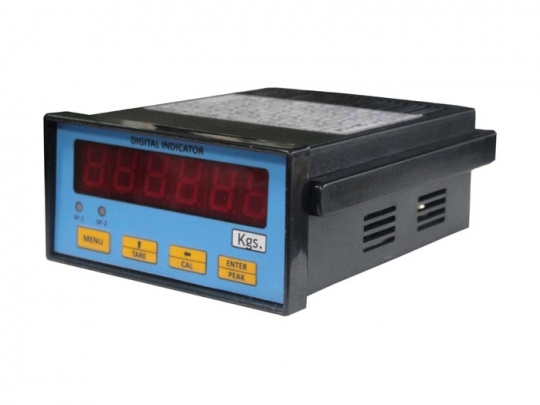 Digital Strain Display