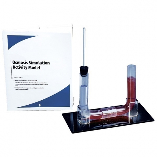 School Lab Osmosis Simulation Activity Model