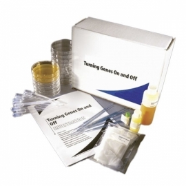 School Lab Turning Genes On and off Lab Investigation