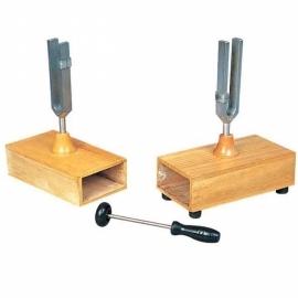 School Lab Resonance Turning Fork