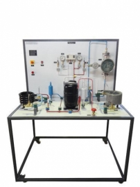 Thermo Electric Heat Pump Apparatus